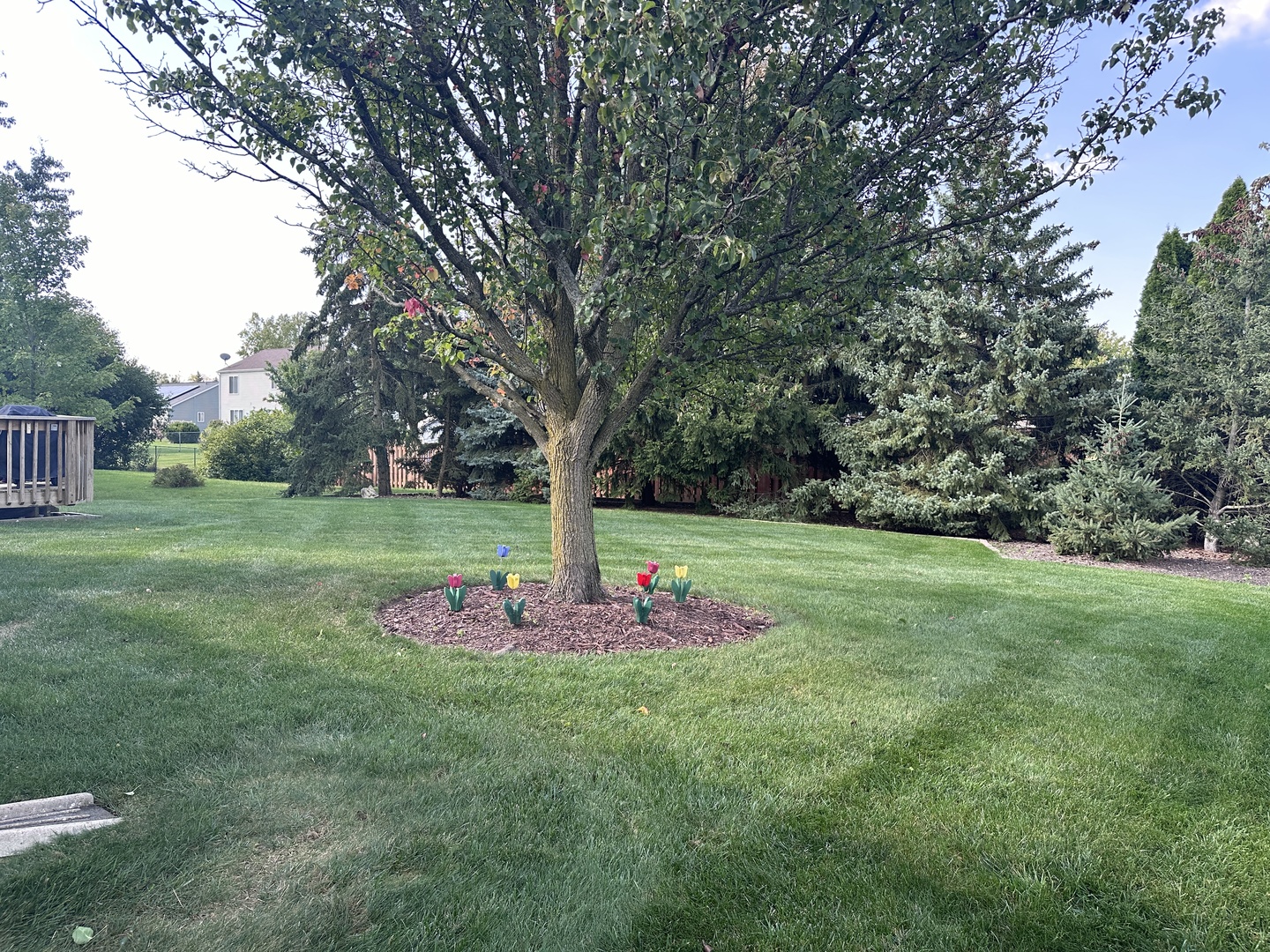 1160 Stonegate Road Algonquin, IL 60102 - Photo 8 of 9 Gallery Image 8