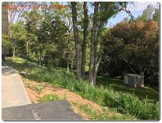 47123 Veater Ranch Road Coarsegold, CA 93614 - Photo 4 of 21