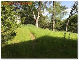 47123 Veater Ranch Road Coarsegold, CA 93614 - Photo 5 of 21