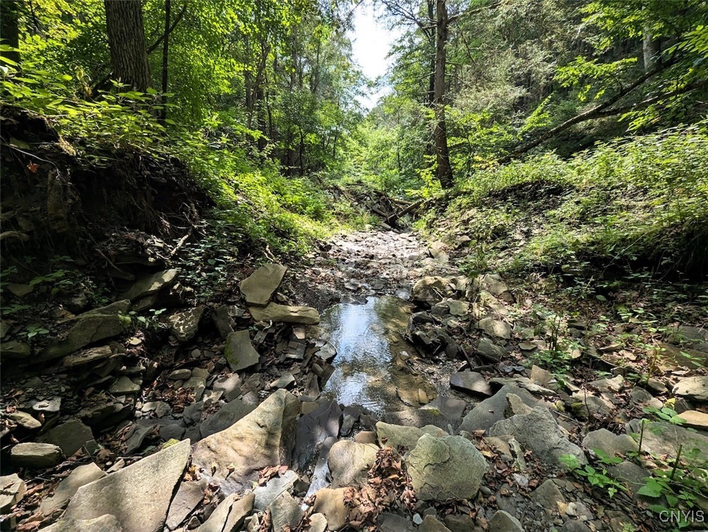 Hill Road Beaver Dams, NY 14812 - Photo 12 of 34