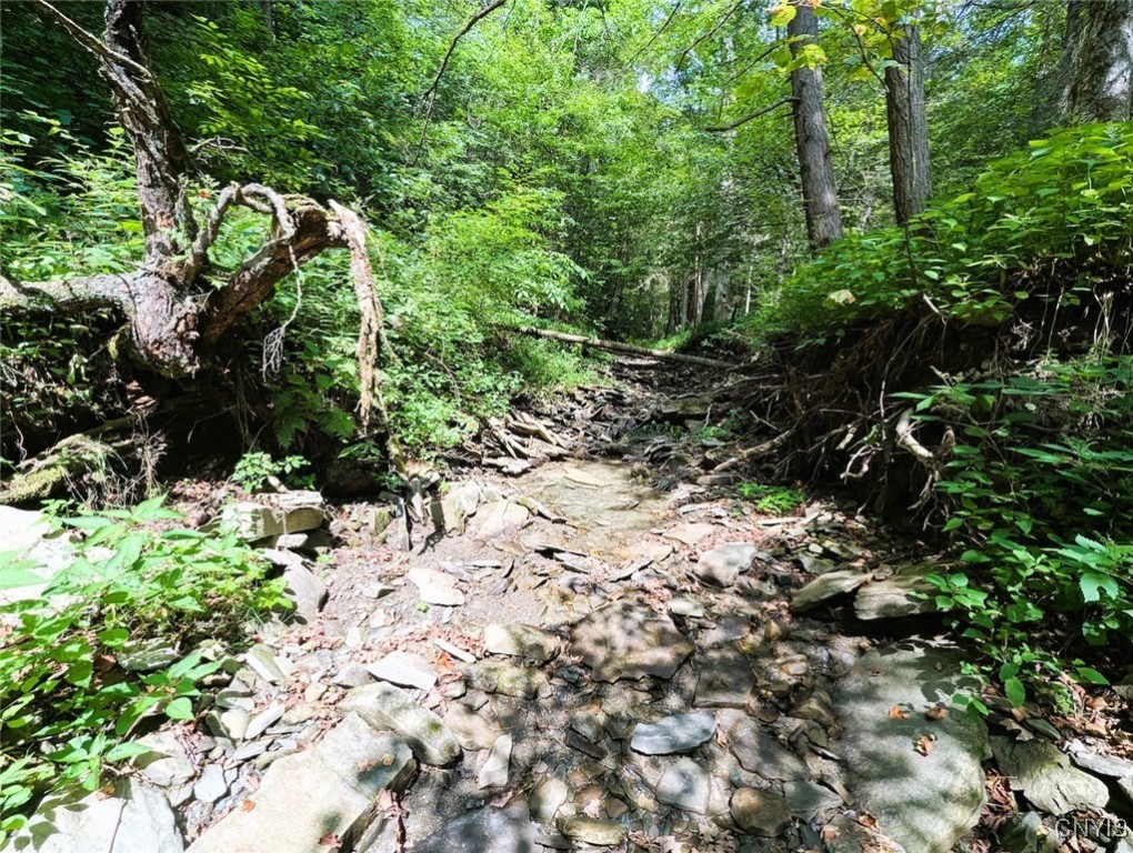 Hill Road Beaver Dams, NY 14812 - Photo 13 of 34