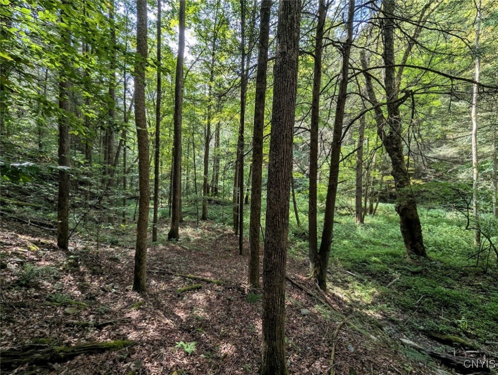 Hill Road Beaver Dams, NY 14812 - Photo 20 of 34
