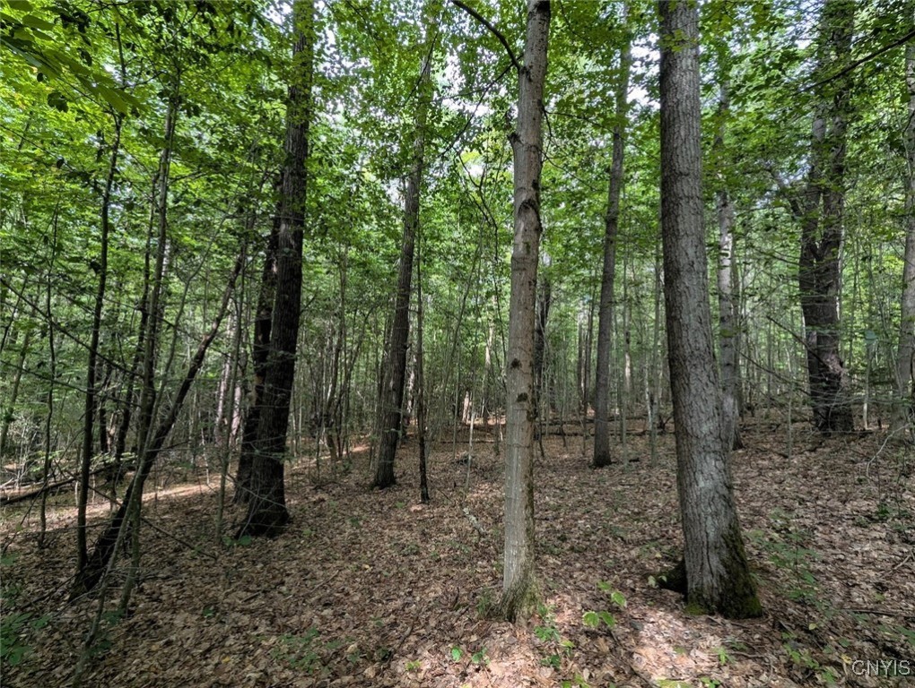 Hill Road Beaver Dams, NY 14812 - Photo 25 of 34