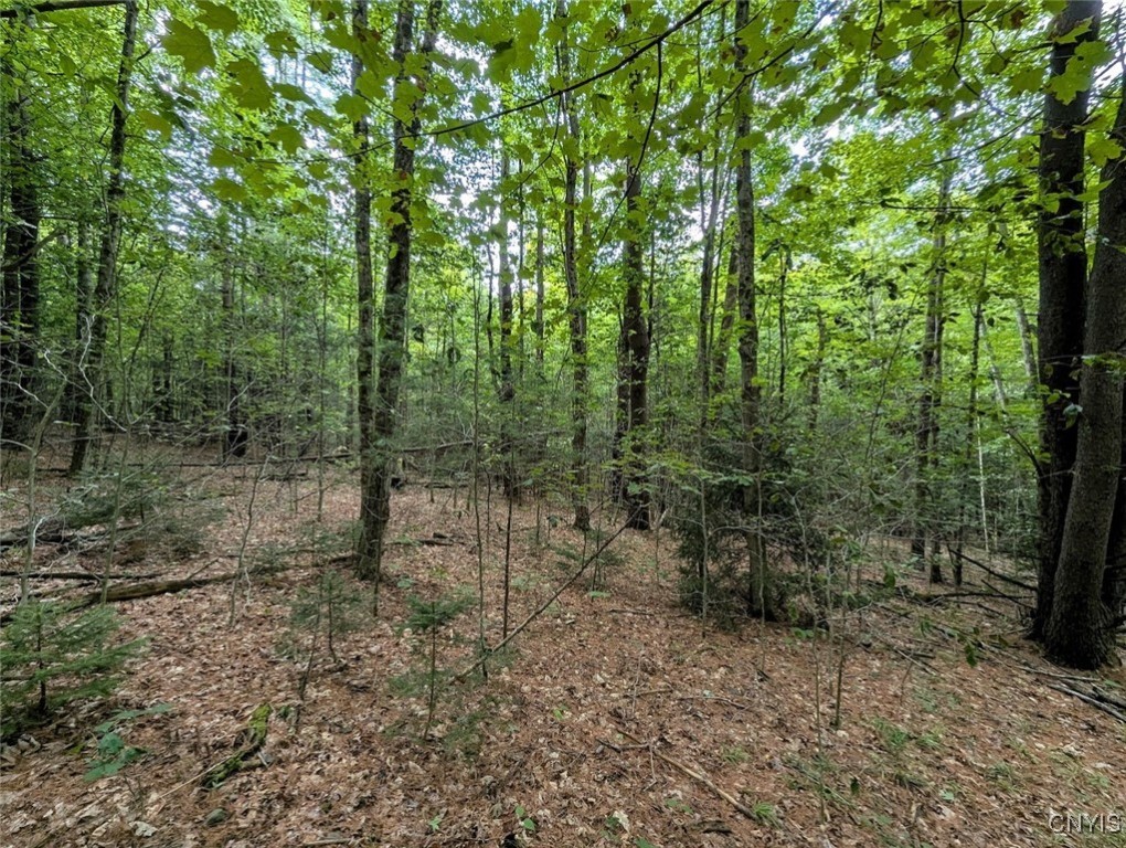 Hill Road Beaver Dams, NY 14812 - Photo 27 of 34