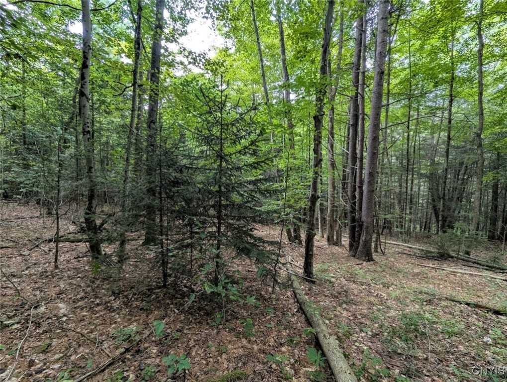 Hill Road Beaver Dams, NY 14812 - Photo 28 of 34