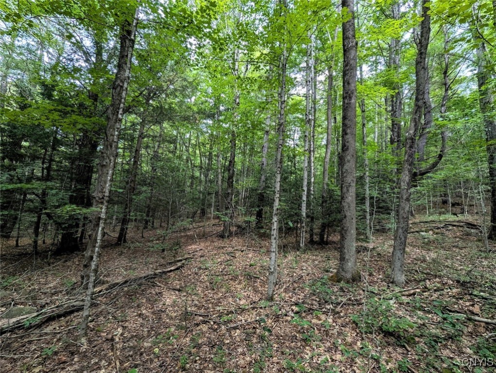 Hill Road Beaver Dams, NY 14812 - Photo 29 of 34