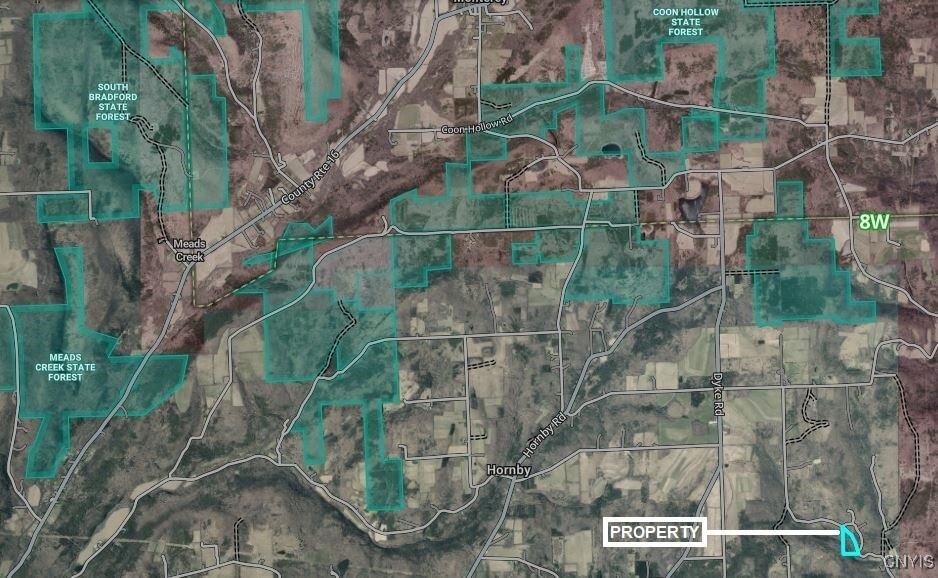 Hill Road Beaver Dams, NY 14812 - Photo 33 of 34