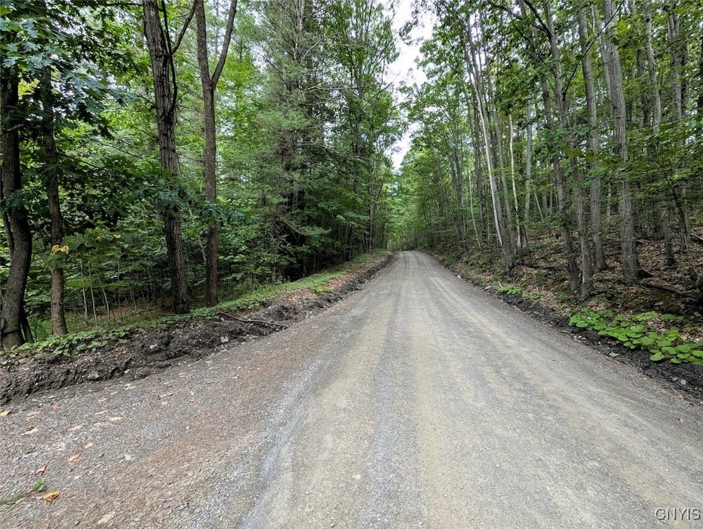 Hill Road Beaver Dams, NY 14812 - Photo 4 of 34