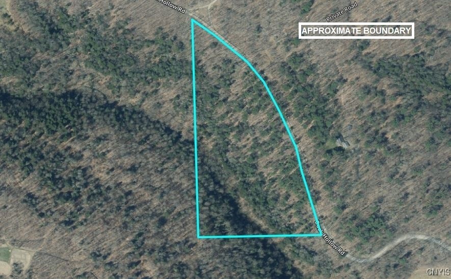 Hill Road Beaver Dams, NY 14812 - Photo 5 of 34