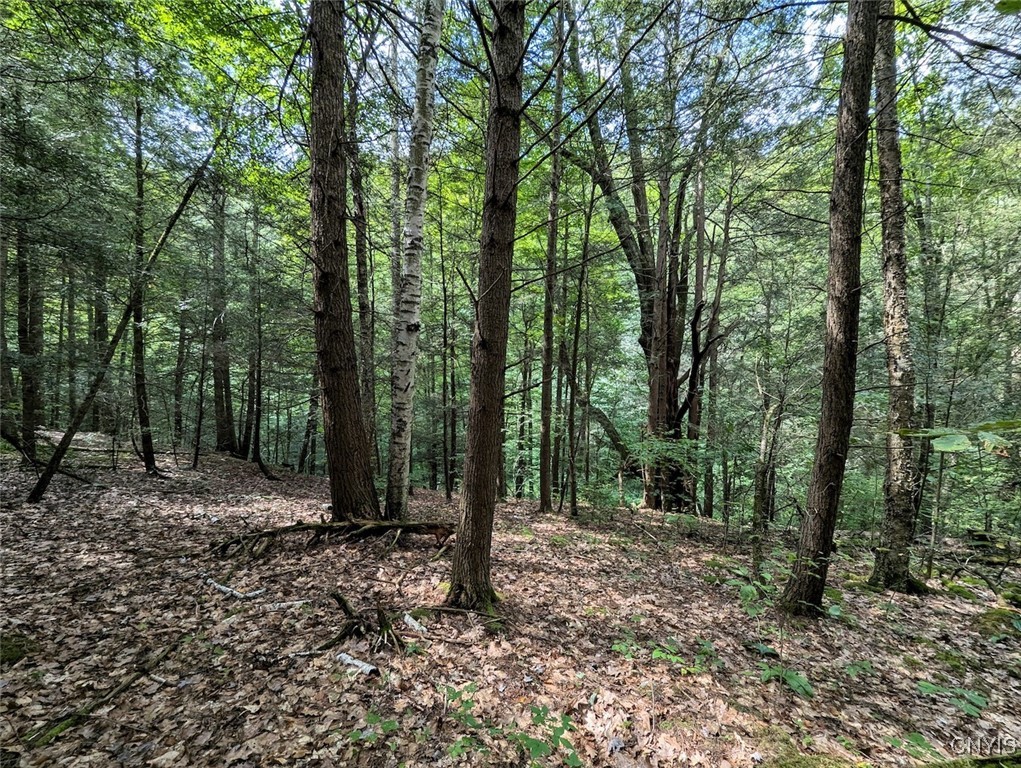 Hill Road Beaver Dams, NY 14812 - Photo 6 of 34