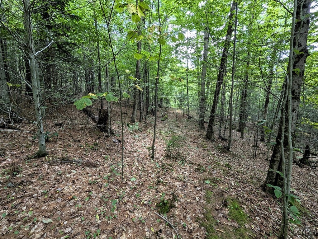 Hill Road Beaver Dams, NY 14812 - Photo 7 of 34
