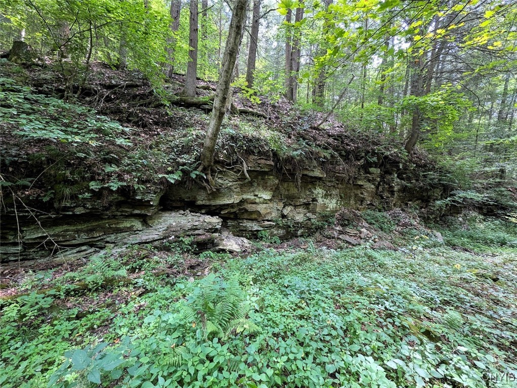 Hill Road Beaver Dams, NY 14812 - Photo 10 of 34