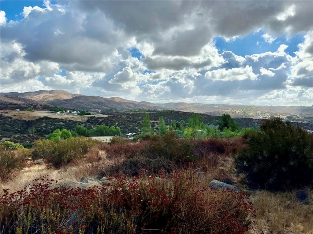 0 Green Meadow Road Temecula, CA 92592 - Photo 14 of 19 a view of a lake with green space