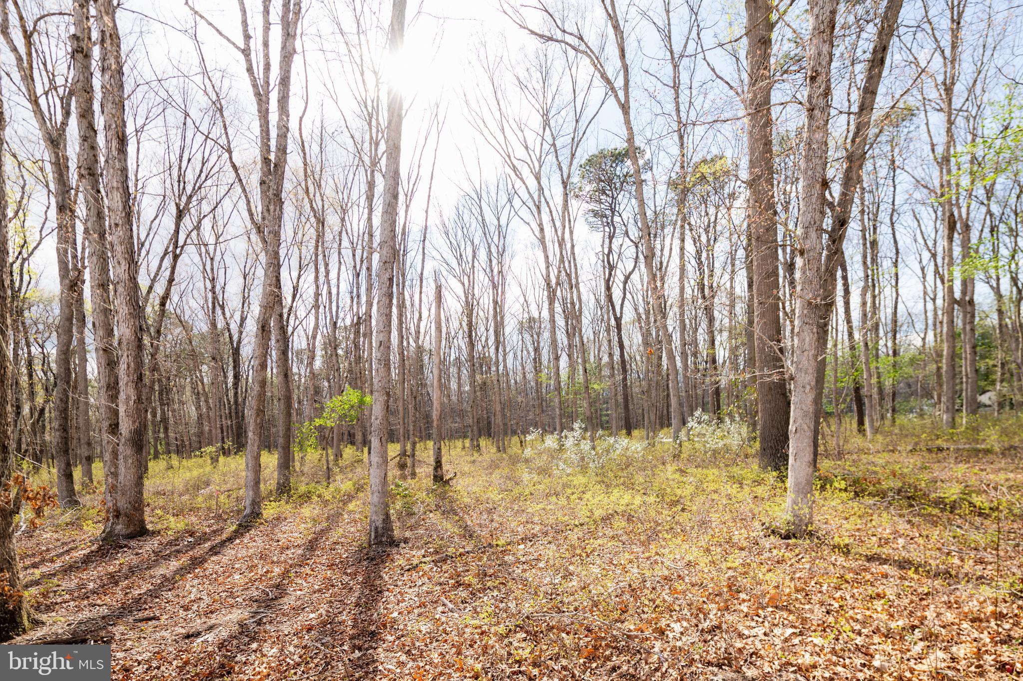 503 Hay Street Hammonton, NJ 08037 - Photo 52 of 56