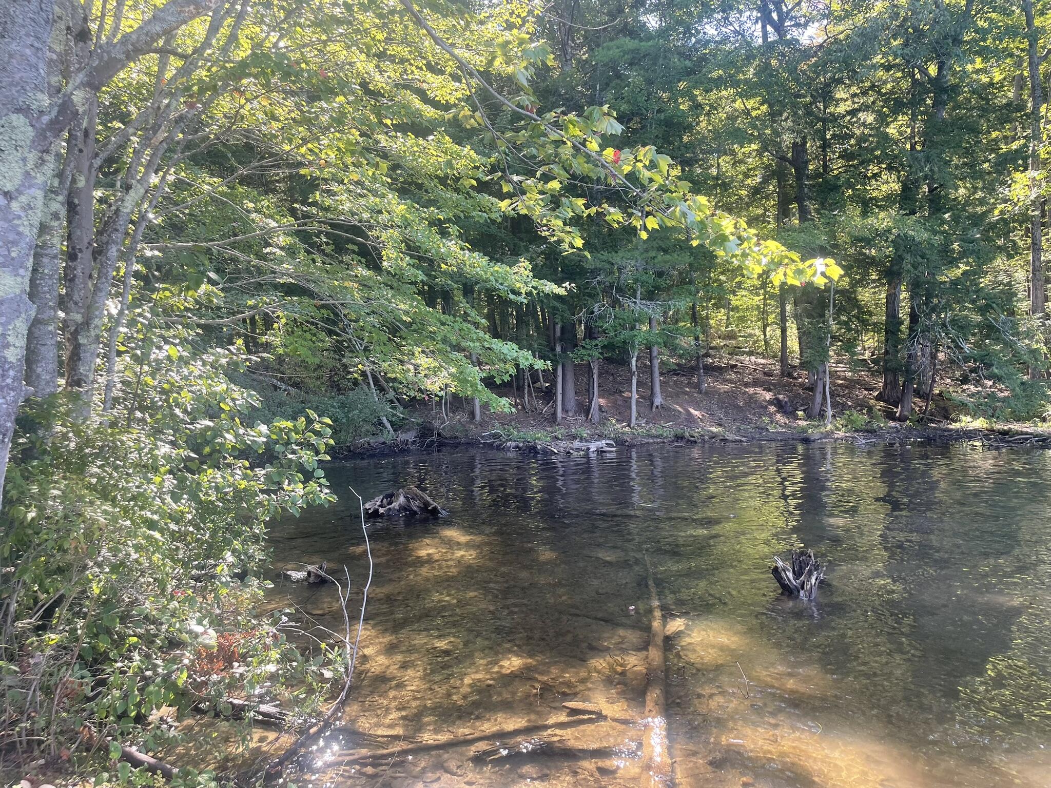 0 Route9-126 Road Litchfield, ME 04350 - Photo 52 of 105