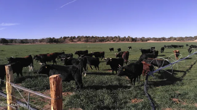 a view of a kitchen from the hallway