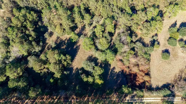 $250,000 | 1756 Jacks Branch Road, Cantonment, FL 32533