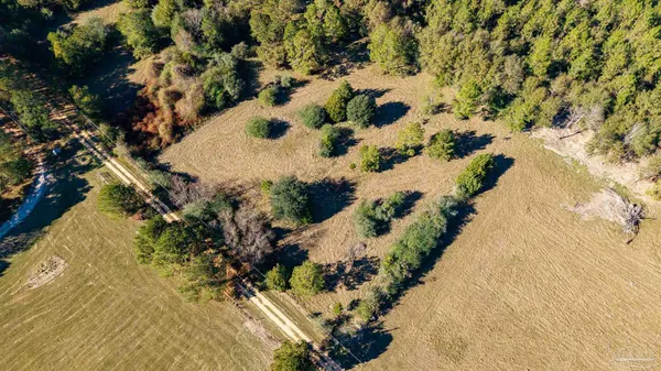 $250,000 | 1756 Jacks Branch Road, Cantonment, FL 32533