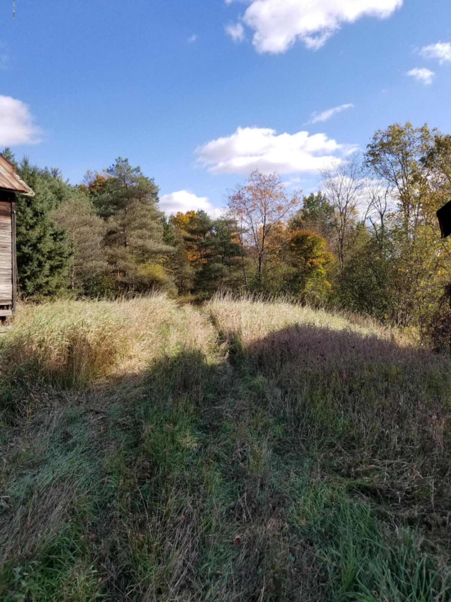 4606 East Fountain Road Fountain, MI 49410 - Photo 3 of 6 20181013_113005