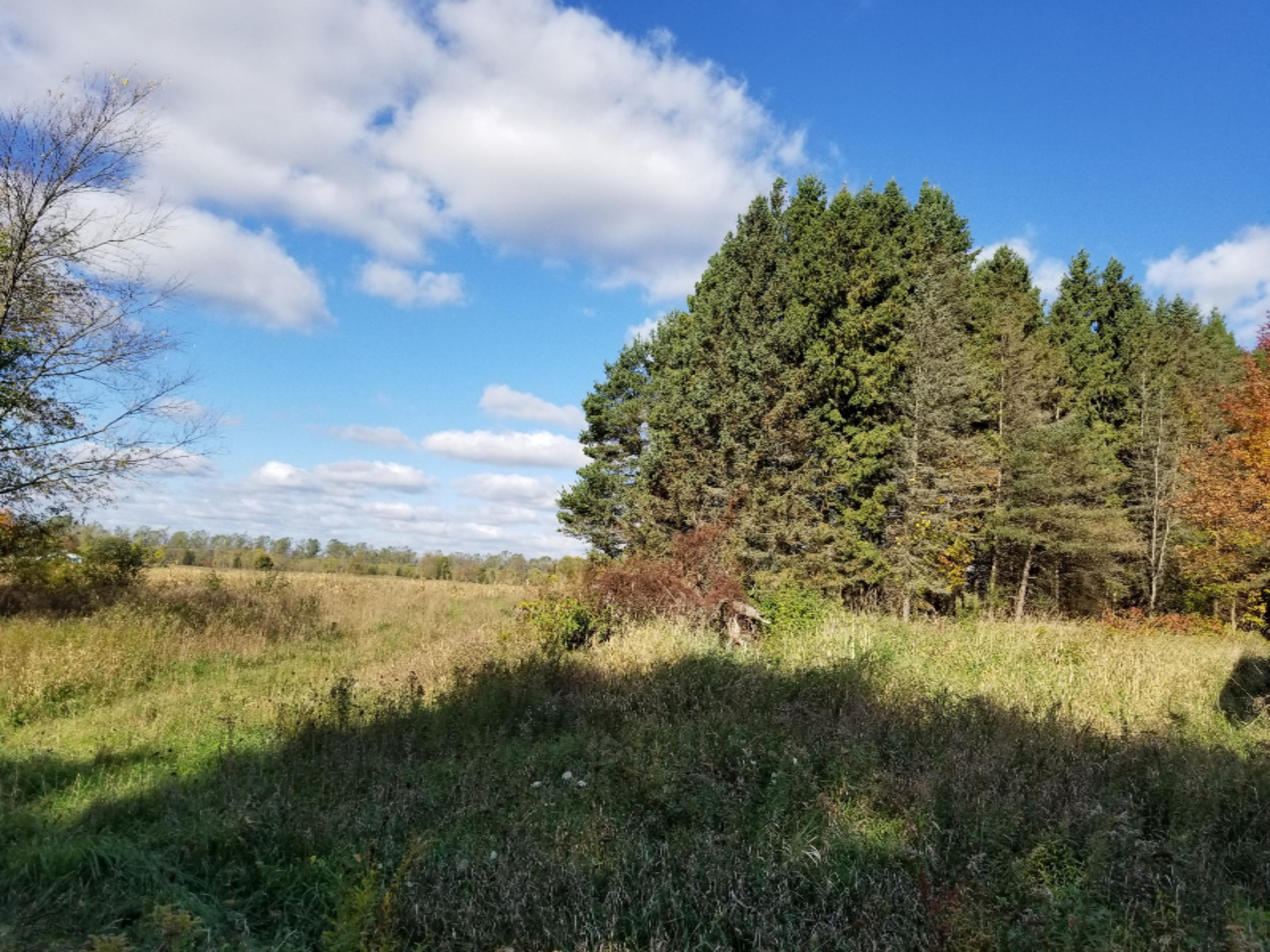 4606 East Fountain Road Fountain, MI 49410 - Photo 4 of 6 20181013_113011