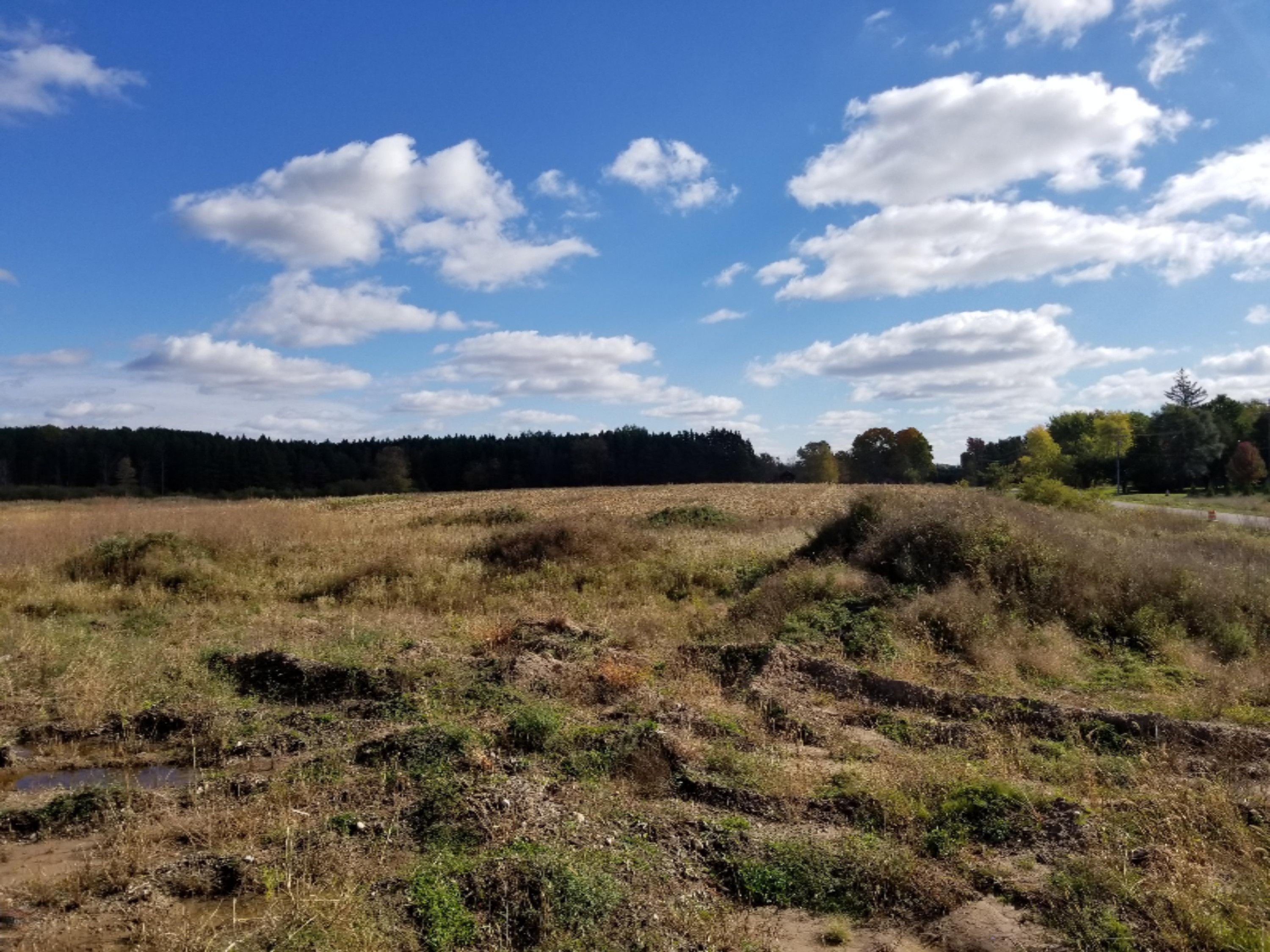 4606 East Fountain Road Fountain, MI 49410 - Photo 5 of 6 20181013_113830