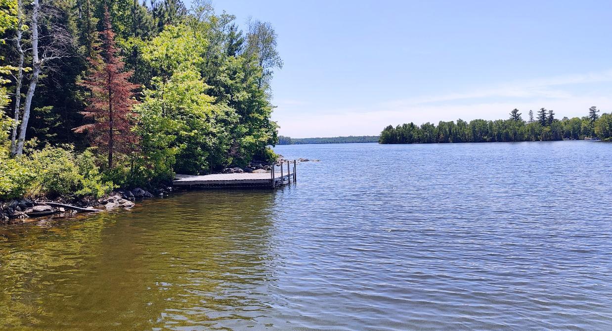 2357 Retreat Lodge Road Cook, MN 55723 - Photo 45 of 64