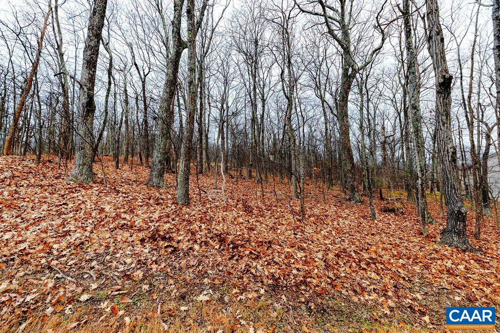 23 Rock Tree Lane Roseland, VA 22967 - Photo 4 of 11 a view of a backyard