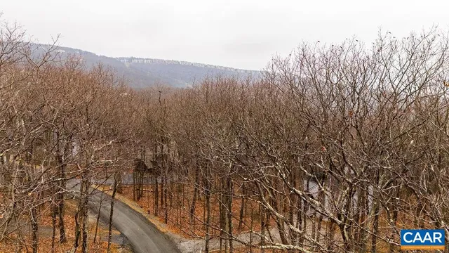 a view of a city with lush green forest