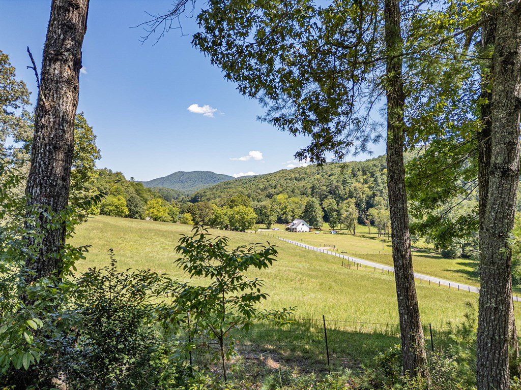 115 Travelers Gap Road Murphy, NC 28906 - Photo 17 of 38