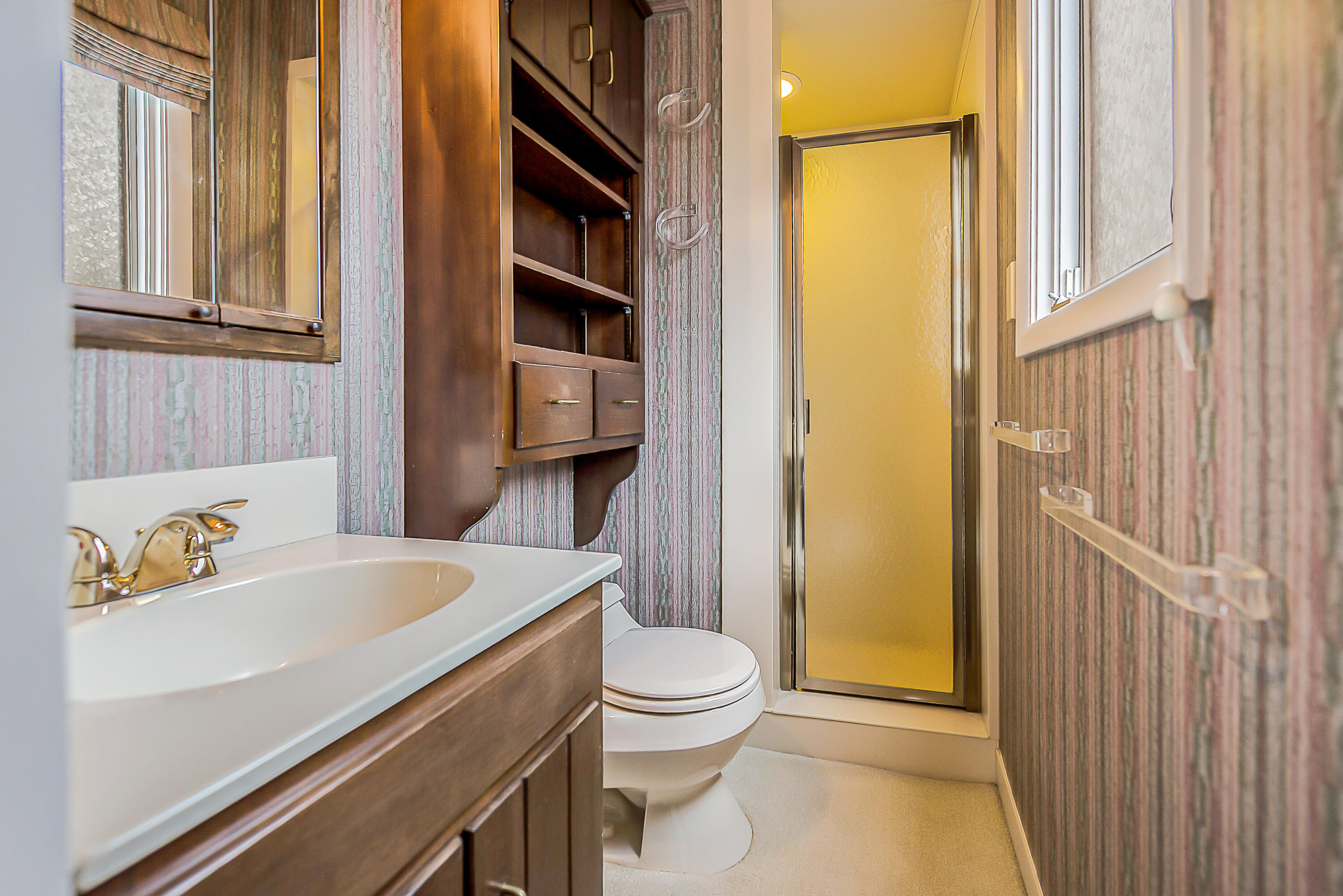 3483 Brassow Road Saline, MI 48176 - Photo 30 of 65 Primary bath