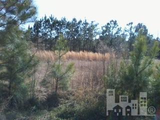605 Union Bethel Road Hampstead, NC 28443 - Photo 1 of 2 Primary Photo