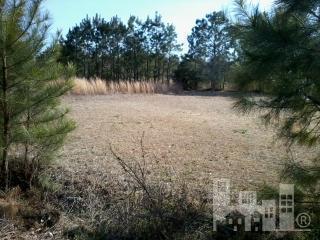 605 Union Bethel Road Hampstead, NC 28443 - Photo 2 of 2 Additional Photo