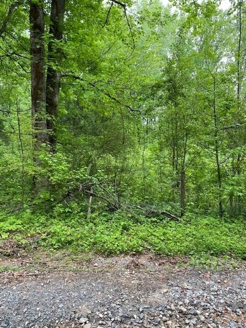 0 Bryant Road Dahlonega, GA 30533 - Photo 1 of 1 Gallery Image 1