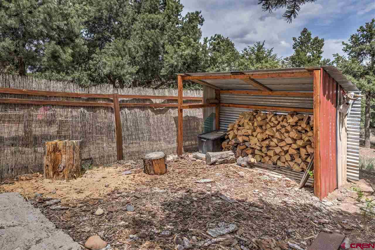 11239 County Road 213 Durango, CO 81303 - Photo 3 of 25