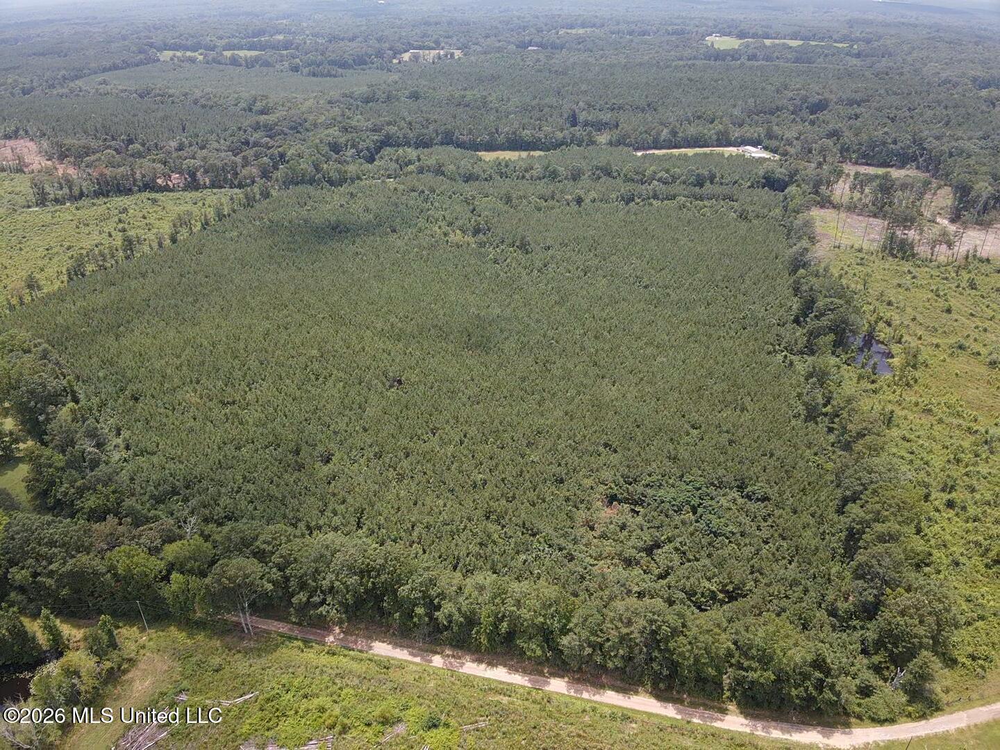 131 B County Road Morton, MS 39117 - Photo 10 of 25 2026-07-05-13-44-12-562