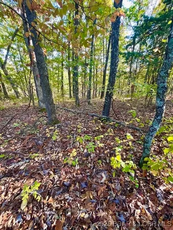 $17,550 | Lot#5-6 Lakewood Lane, Barnett, MO 65011