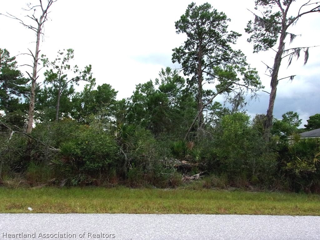 4513 Singer Street Sebring, FL 33872 - Photo 1 of 8 Gallery Image 1