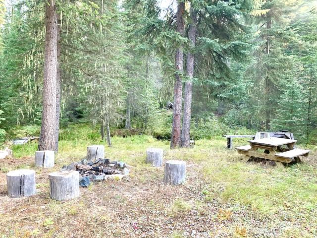 2447 State Rte 20 Colville, WA 99114 - Photo 13 of 22