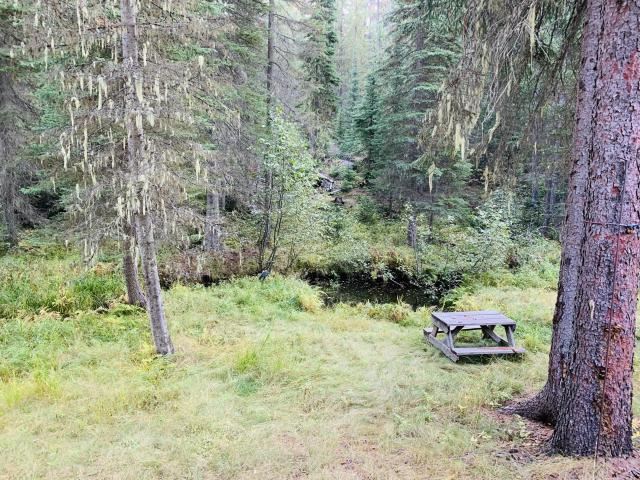 2447 State Rte 20 Colville, WA 99114 - Photo 16 of 22
