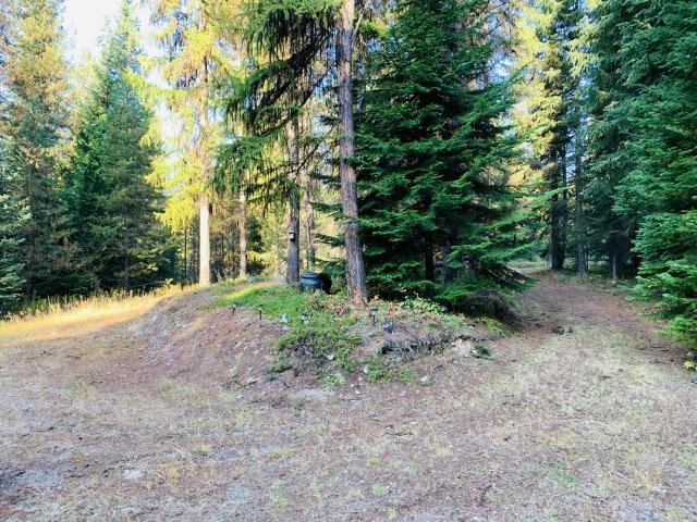 2447 State Rte 20 Colville, WA 99114 - Photo 18 of 22