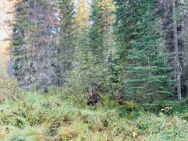 2447 State Rte 20 Colville, WA 99114 - Photo 20 of 22