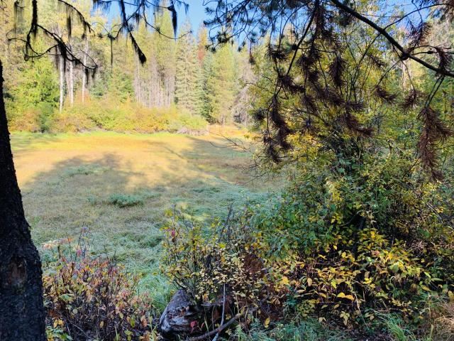 2447 State Rte 20 Colville, WA 99114 - Photo 21 of 22