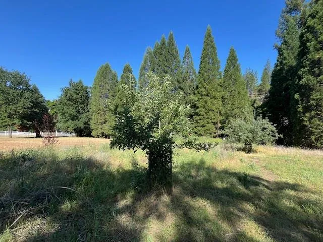 $325,000 | 0 Crestview Drive, Murphys, CA 95247