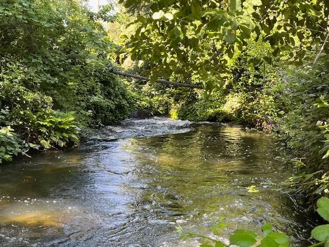 $325,000 | 0 Crestview Drive, Murphys, CA 95247