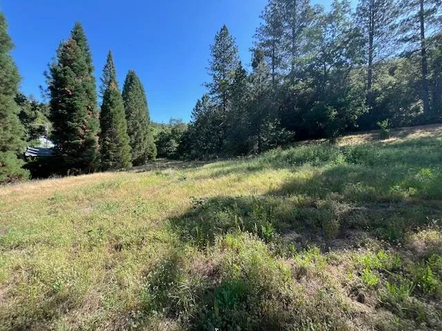 $325,000 | 0 Crestview Drive, Murphys, CA 95247