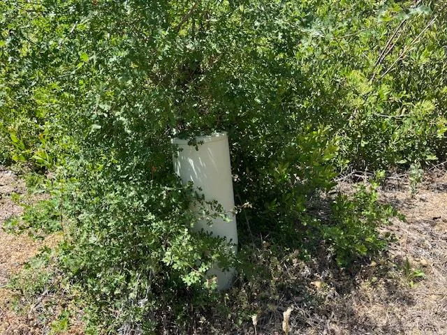 $325,000 | 0 Crestview Drive, Murphys, CA 95247