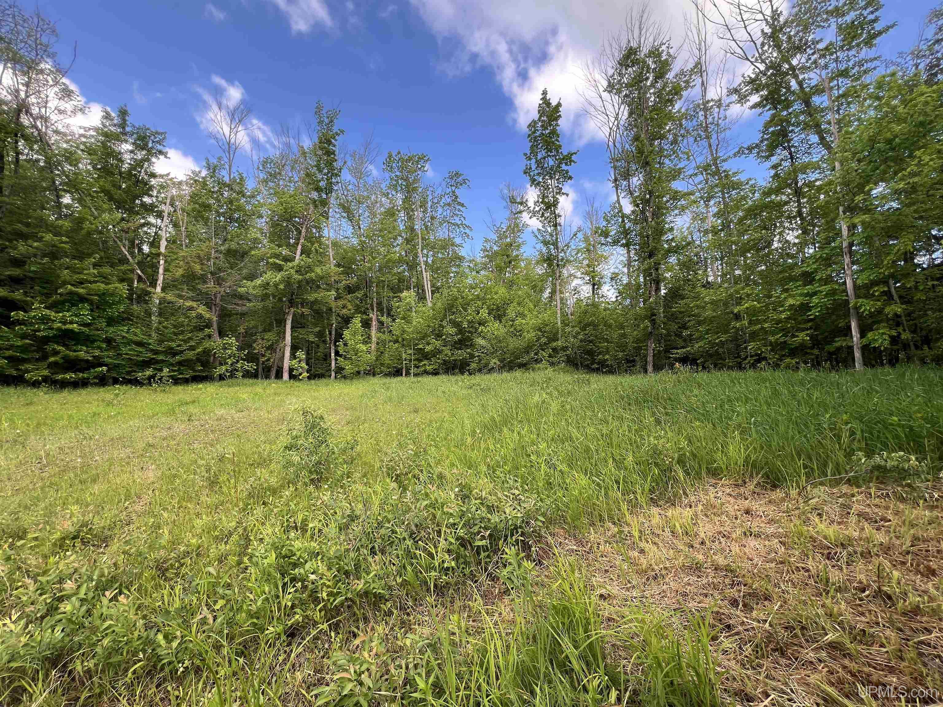 Tbd Roland Lake Road Skanee, MI 49962 - Photo 14 of 18