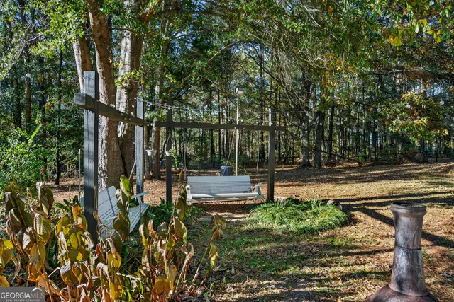 a view of a yard with plants and large trees