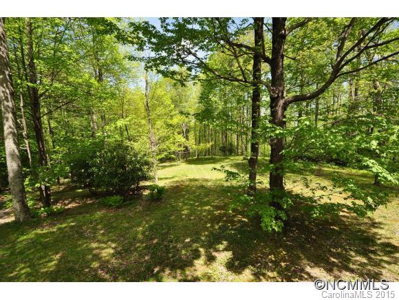 1040 Norton Fork Road Hot Springs, NC 28743 - Photo 24 of 24 Gallery Image 24