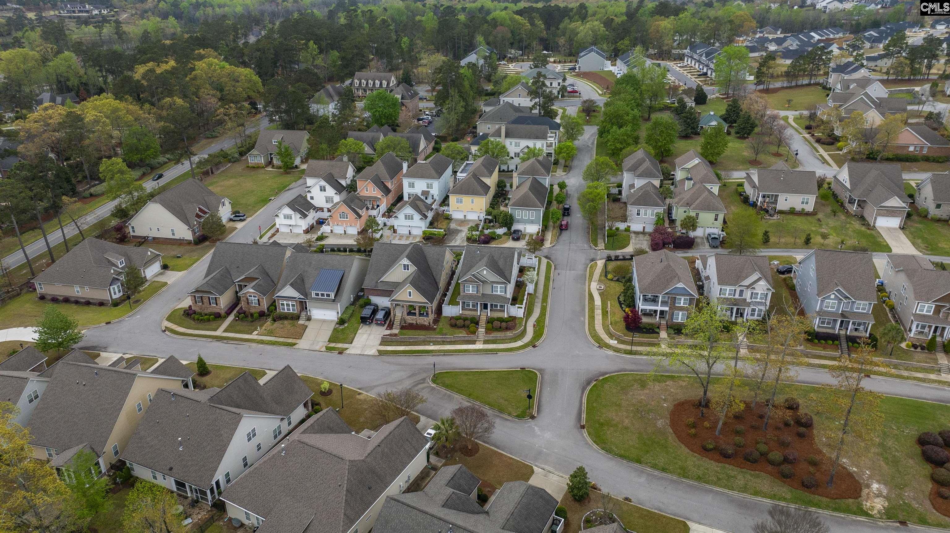 250 Thacher Loop Elgin, SC 29045 - Photo 68 of 73